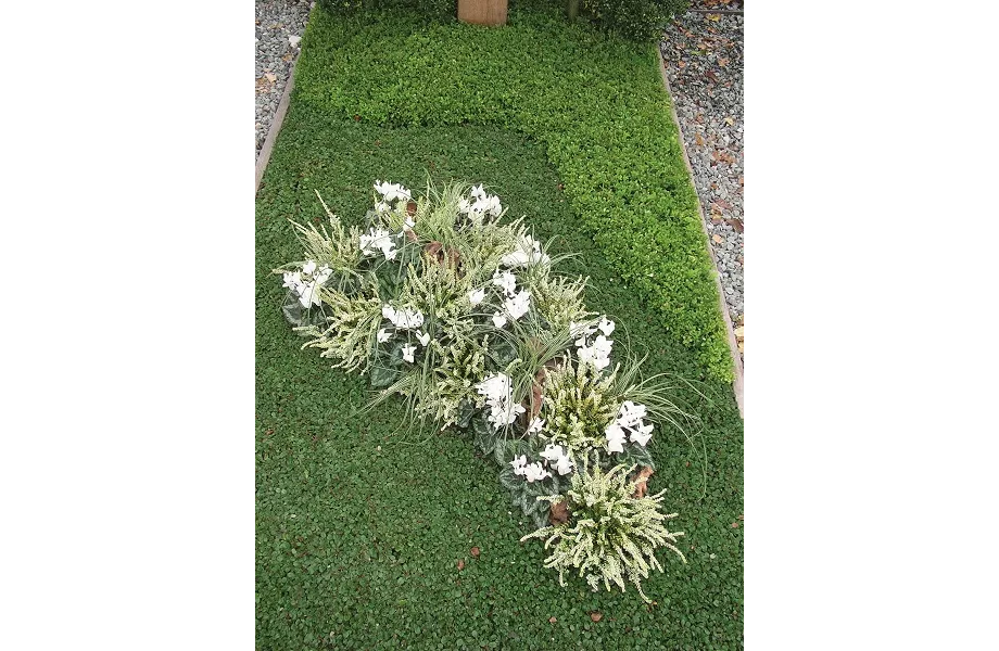 Das geeignete Winterquartier! Das geeignete Winterquartier!