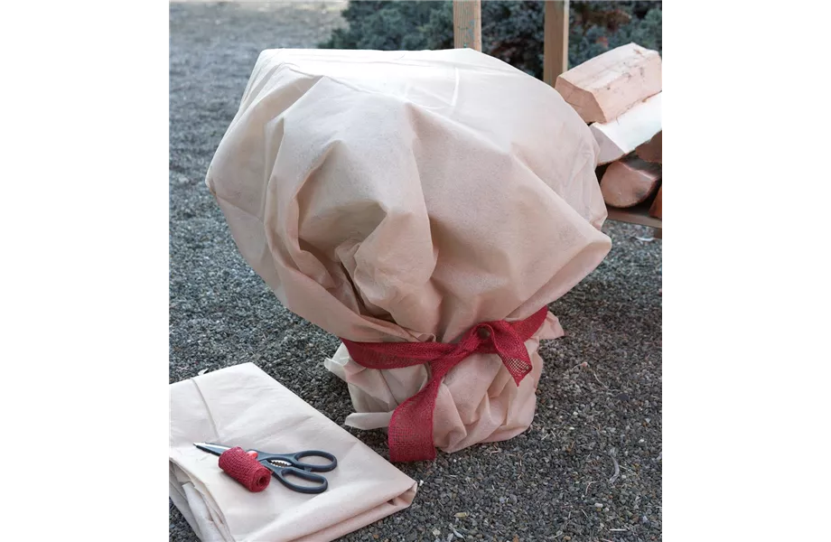 Winterschutz für Kübelpflanzen Winterschutz für Kübelpflanzen