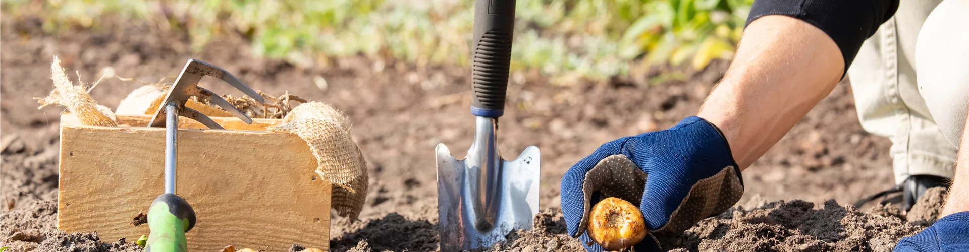 Gartenfreude zu verschenken!