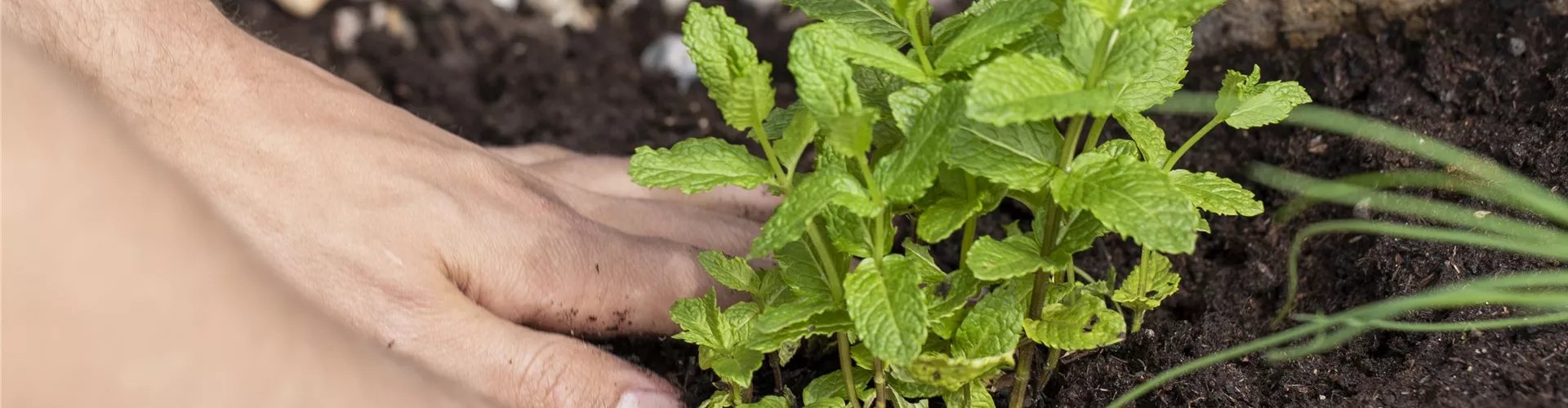 Haben Sie noch Fragen, oder brauchen Sie Unterstützung?