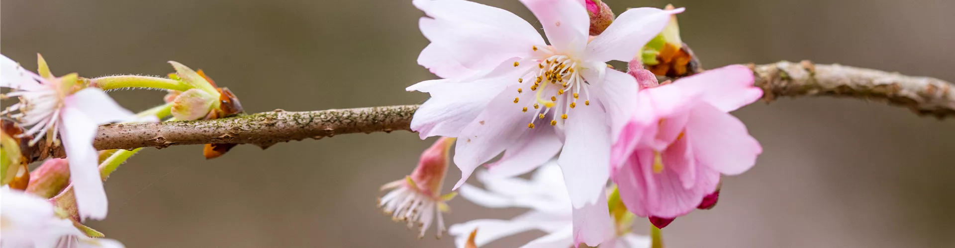 Haben Sie noch Fragen, oder brauchen Sie Unterstützung?