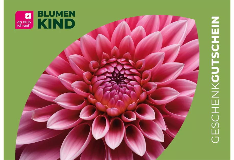 online bestellen und per Post erhalten!