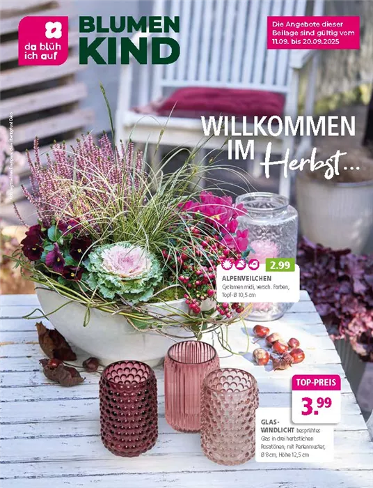 Herbstbeilage 2025