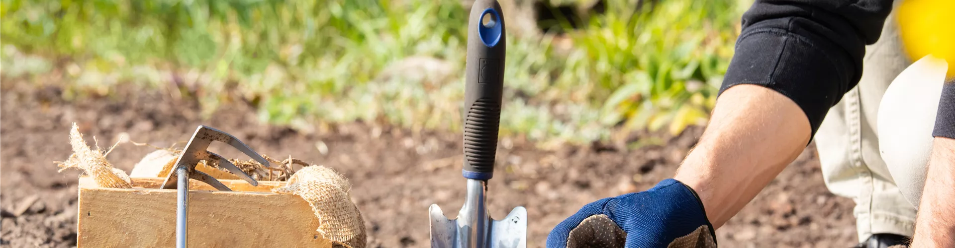 Gartenfreude zu verschenken!